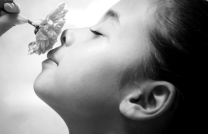 ddos在线攻击工具